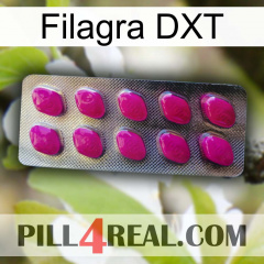 Filagra DXT 09